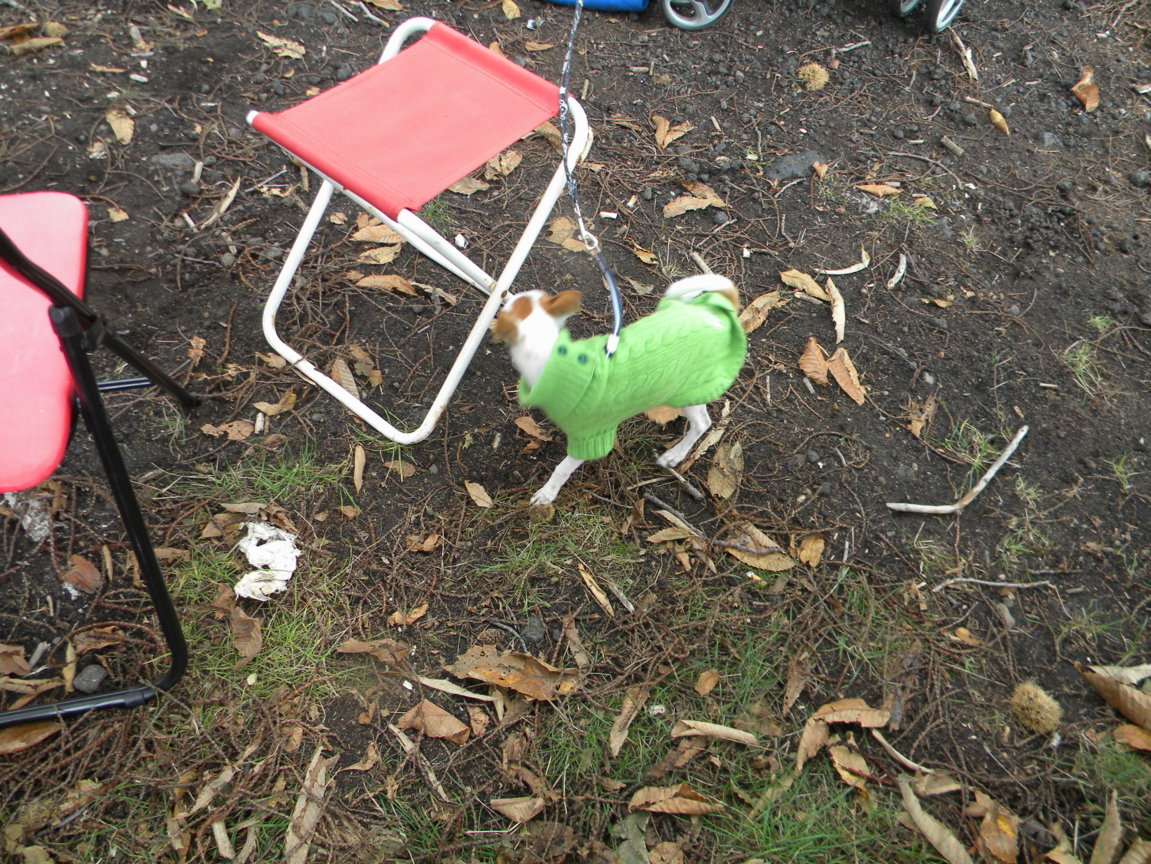 DSCN1057 .JPG